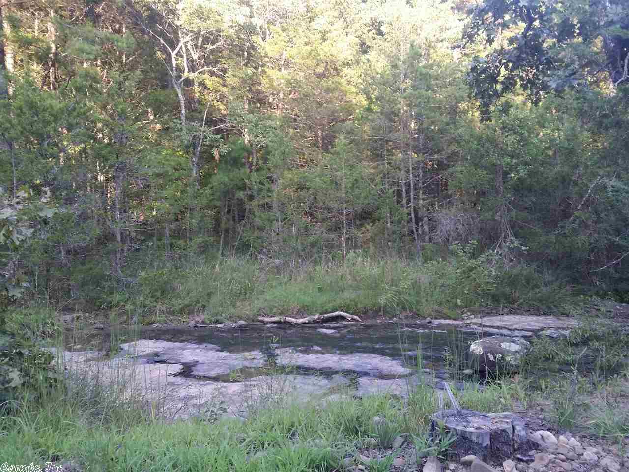 3167 Hwy 330 E, Clinton, AR 72031 photo 40