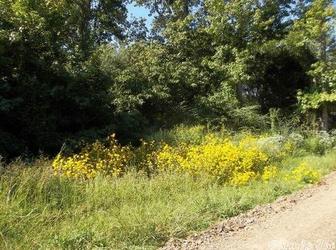 148 King Loop, Judsonia, AR 72081 photo 4