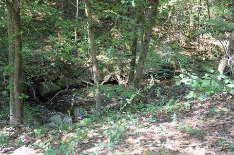 2820 White Tail, Benton, AR 72019 photo 1