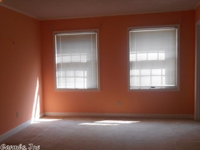 7303 S Laurel, Pine Bluff, AR 71603 photo 23