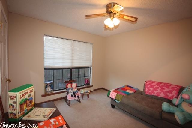 13 Mockingbird Ln, Conway, AR 72032 photo 19
