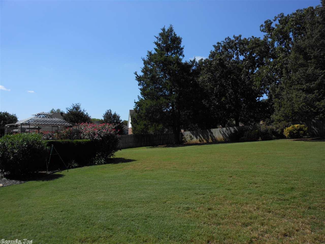 315 Dabney Ct, Conway, AR 72034 photo 3