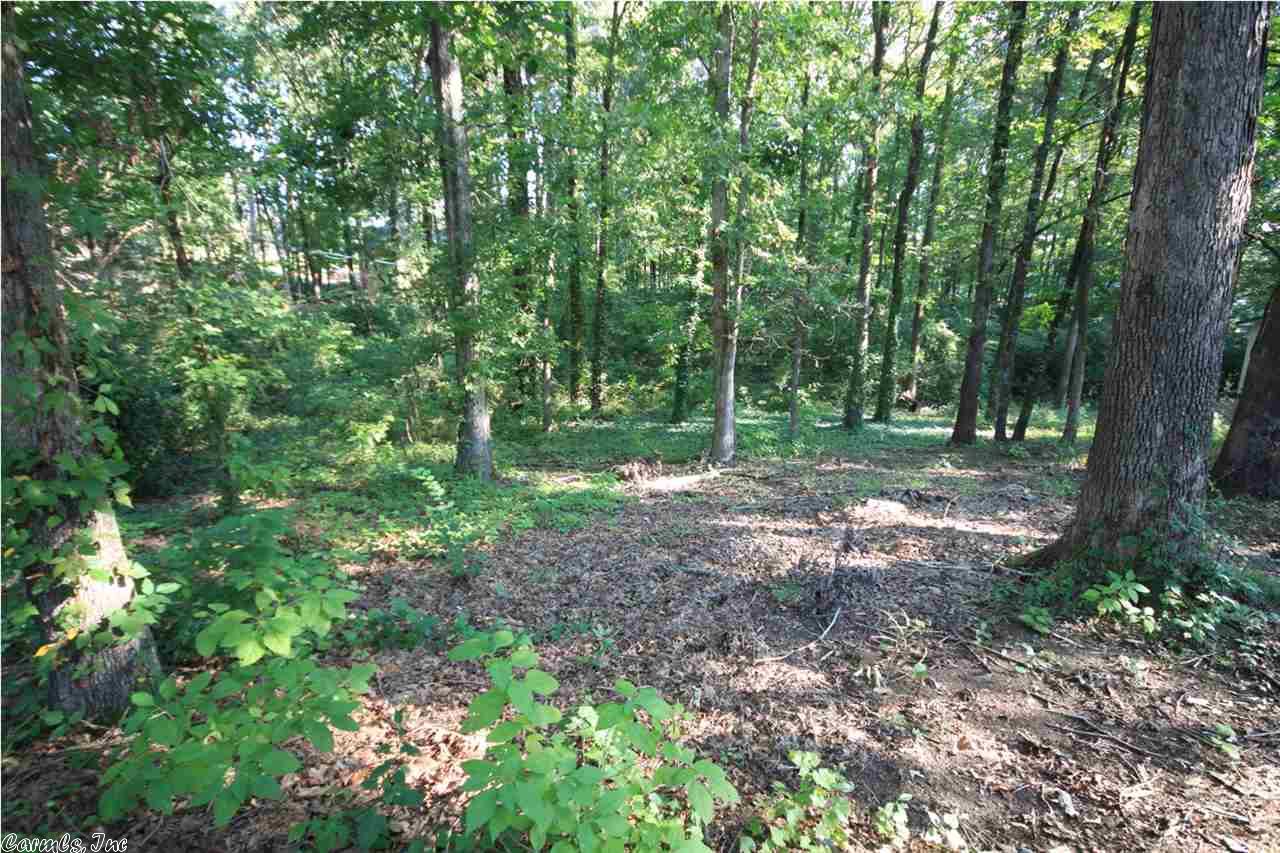 20 Pheasant Dr, Benton, AR 72019 photo 25