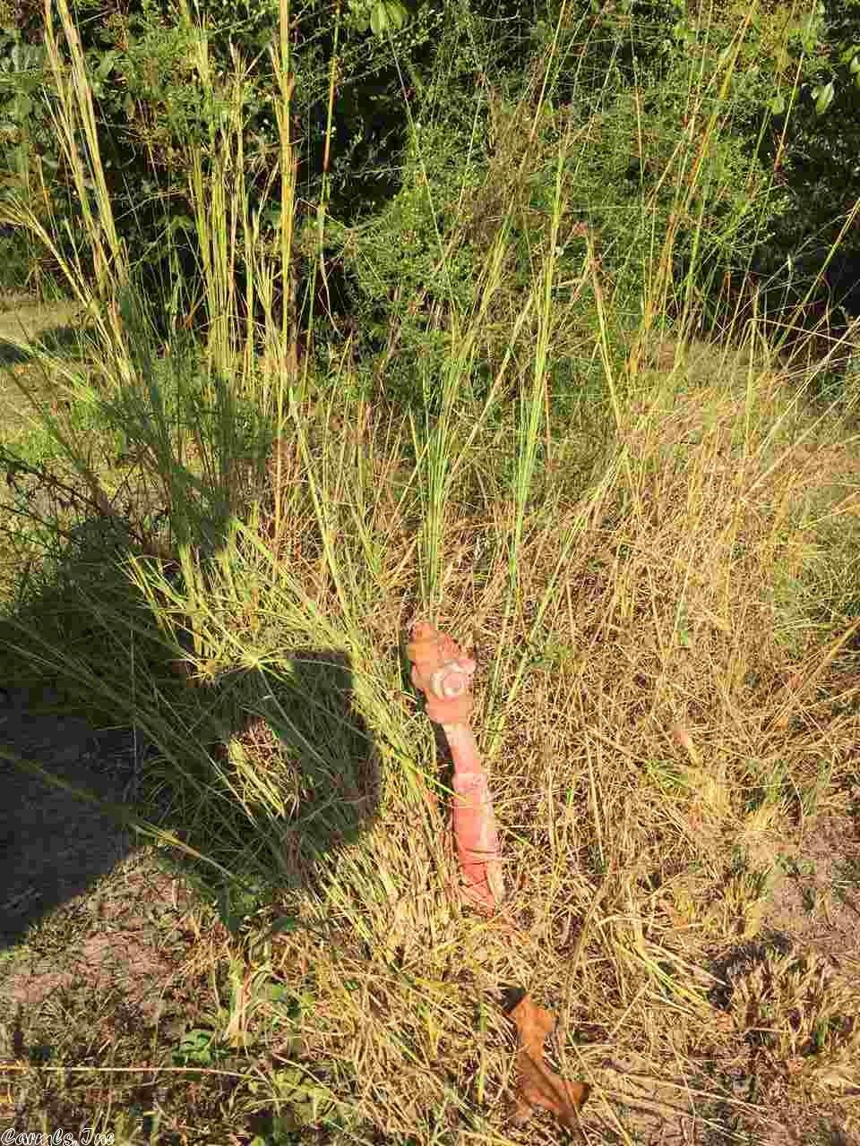 13012 Pine Ridge Rd, Alexander, AR 72002 photo 14