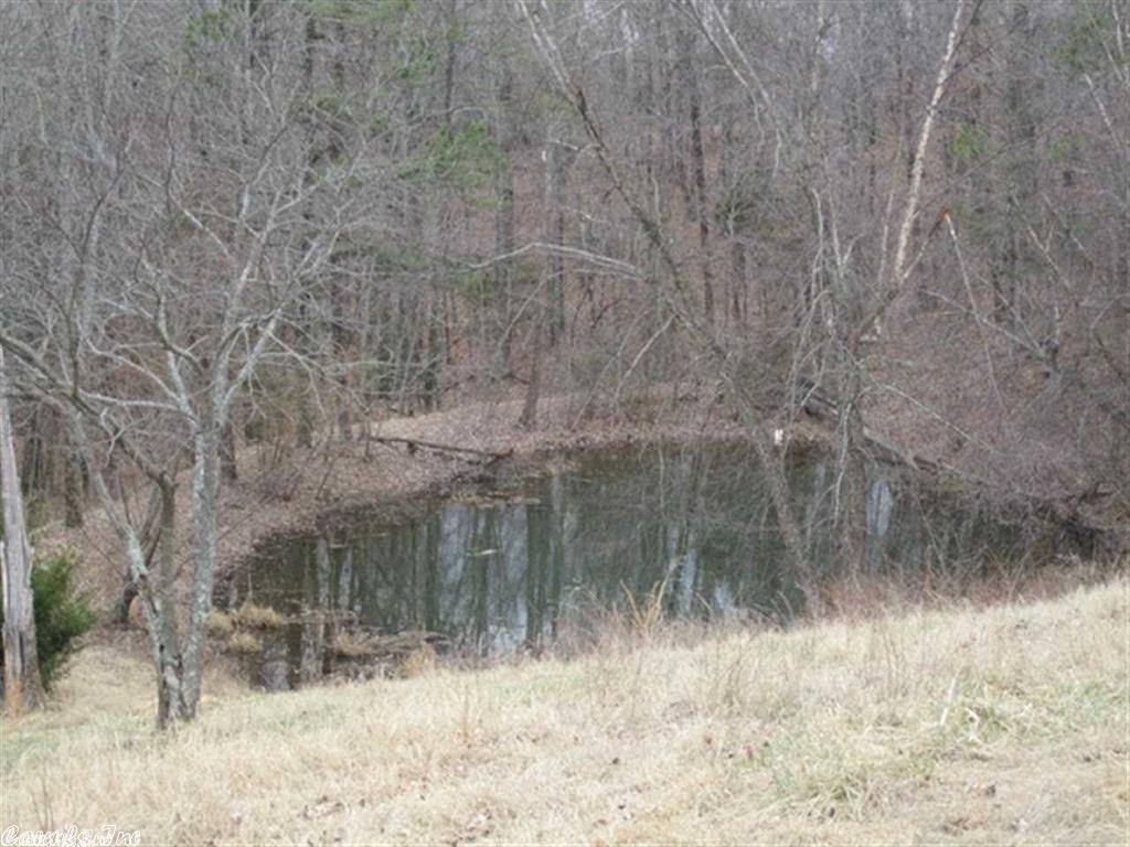 3086 Porter Rd, Shirley, AR 72153 photo 6