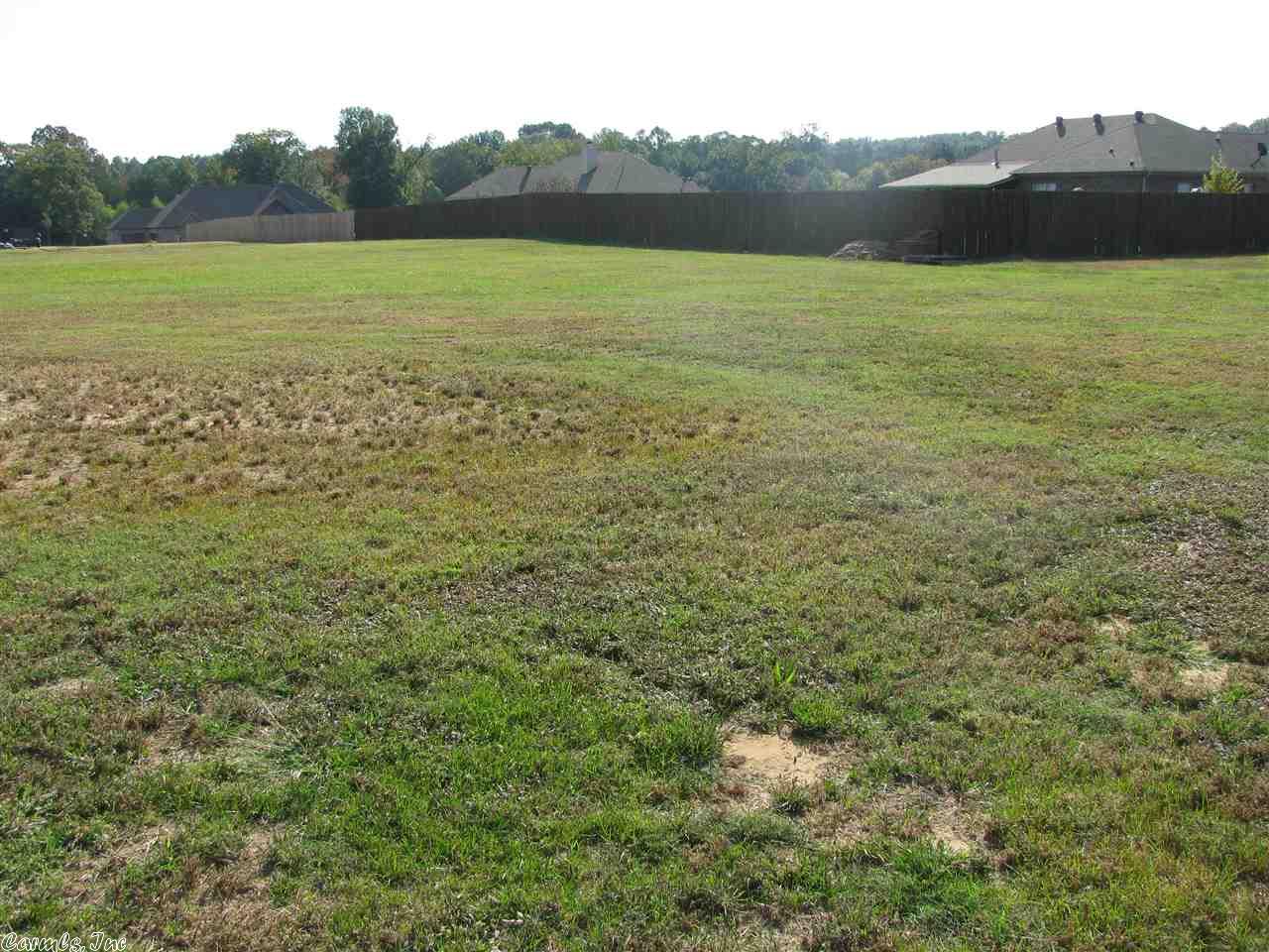 56 Colt Loop, Greenbrier, AR 72058 photo 21