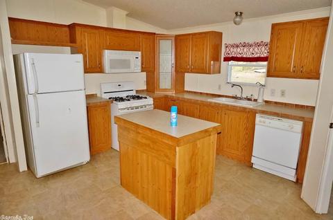 100 Sherrill King Dr, Quitman, AR 72131 photo 4