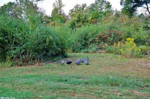 100 Sherrill King Dr, Quitman, AR 72131 photo 17