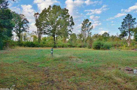 100 Sherrill King Dr, Quitman, AR 72131 photo 14