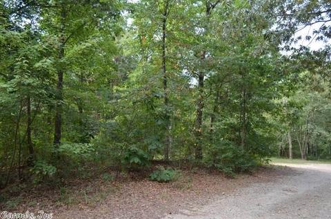 125 Thunder Ln, Mena, AR 71953 photo 3