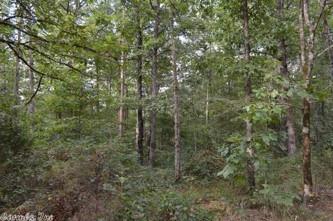 125 Thunder Ln, Mena, AR 71953 photo 7