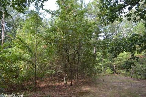 125 Thunder Ln, Mena, AR 71953 photo 8