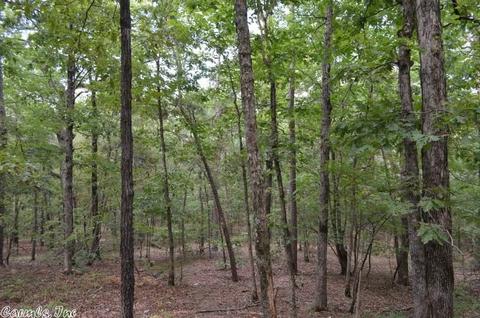 125 Thunder Ln, Mena, AR 71953 photo 10