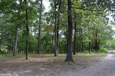 125 Thunder Ln, Mena, AR 71953 photo 5