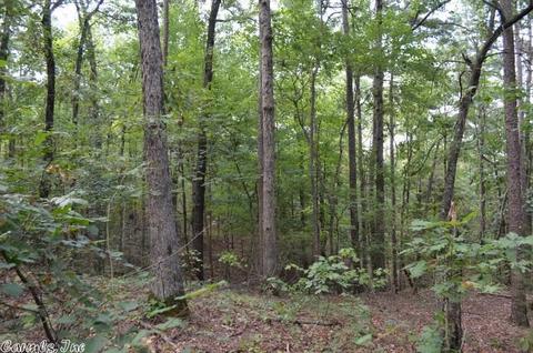 125 Thunder Ln, Mena, AR 71953 photo 9