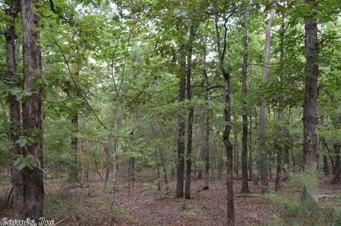 125 Thunder Ln, Mena, AR 71953 photo 11