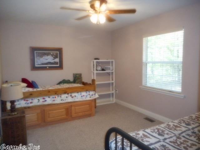 150 Potters Point Rd, Higden, AR 72067 photo 22