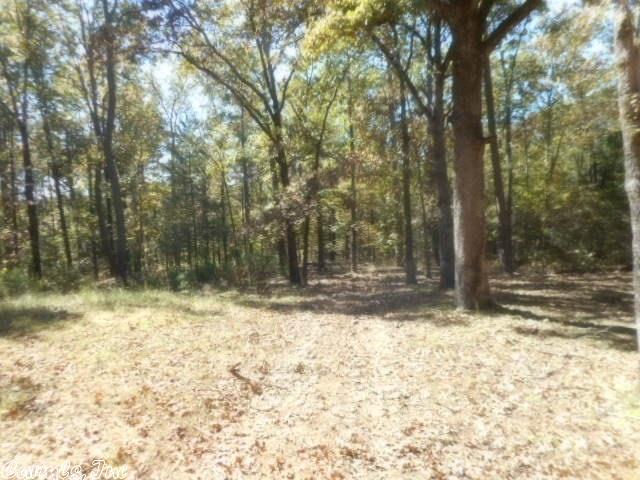 150 Potters Point Rd, Higden, AR 72067 photo 37