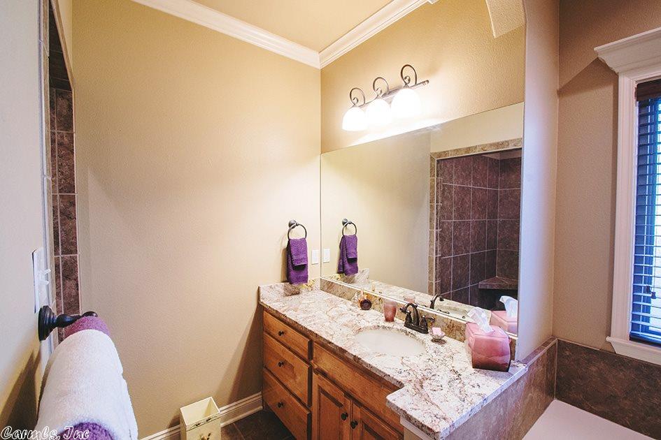11099 Stonehill Dr, Alexander, AR 72002 photo 26