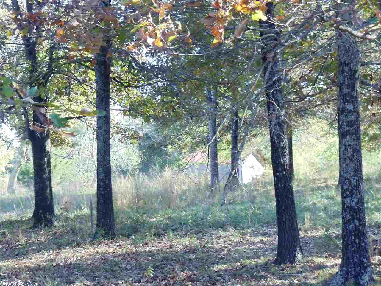 10225 Hwy 62, Ash Flat, AR 72513 photo 8
