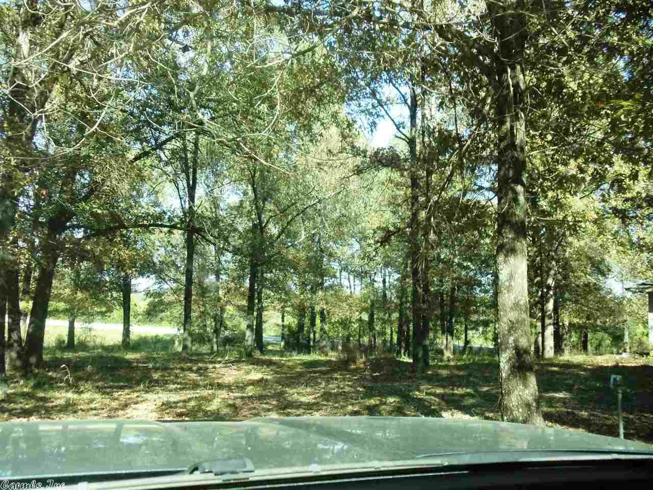 10225 Hwy 62, Ash Flat, AR 72513 photo 9