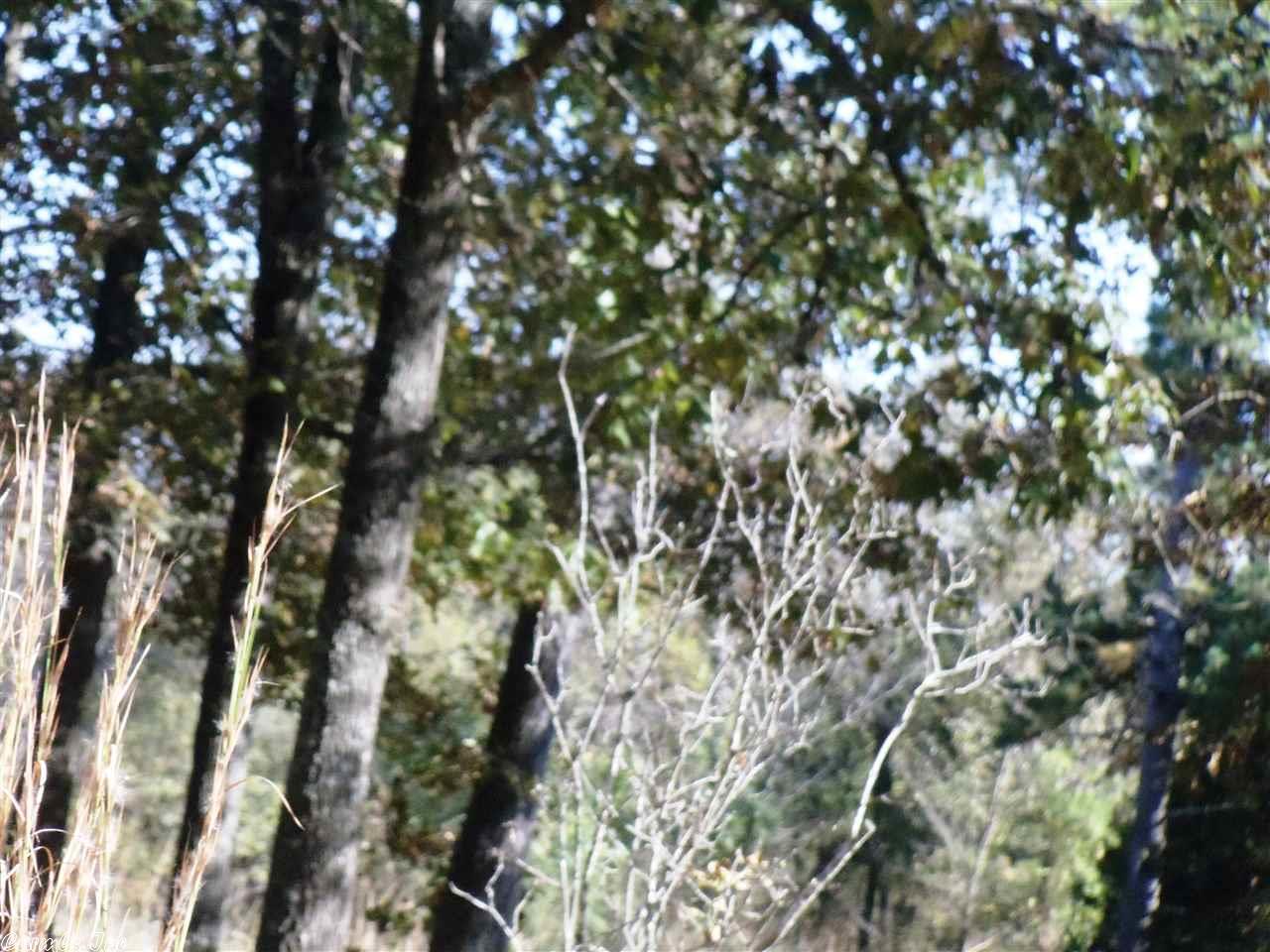 10225 Hwy 62, Ash Flat, AR 72513 photo 7