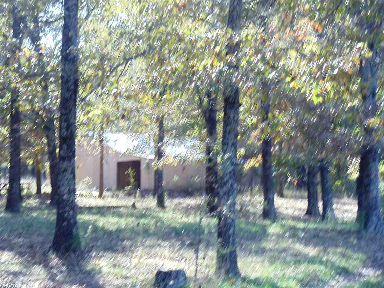 10225 Hwy 62, Ash Flat, AR 72513 photo 2