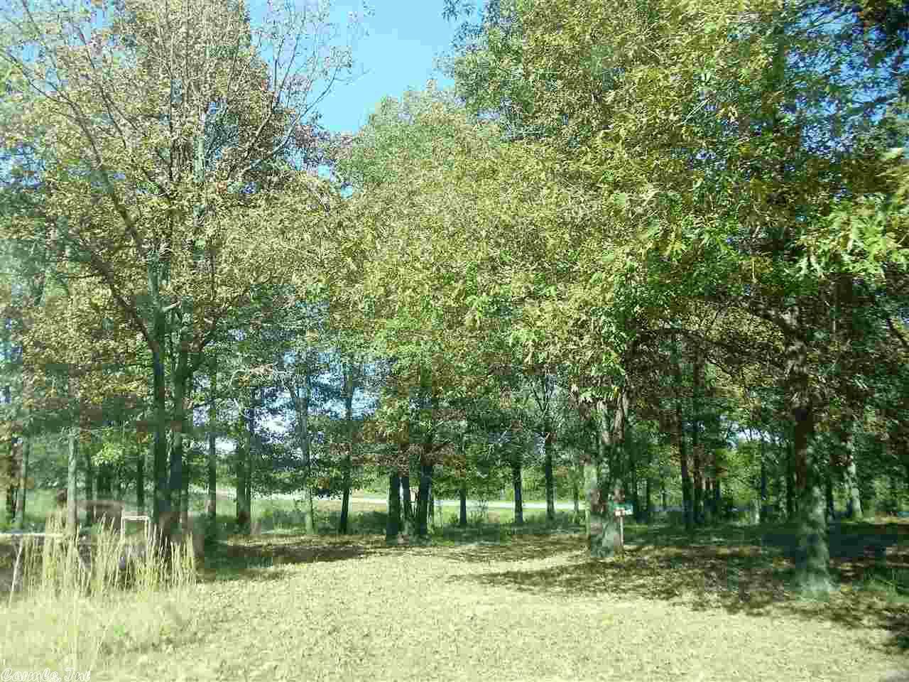 10225 Hwy 62, Ash Flat, AR 72513 photo 10