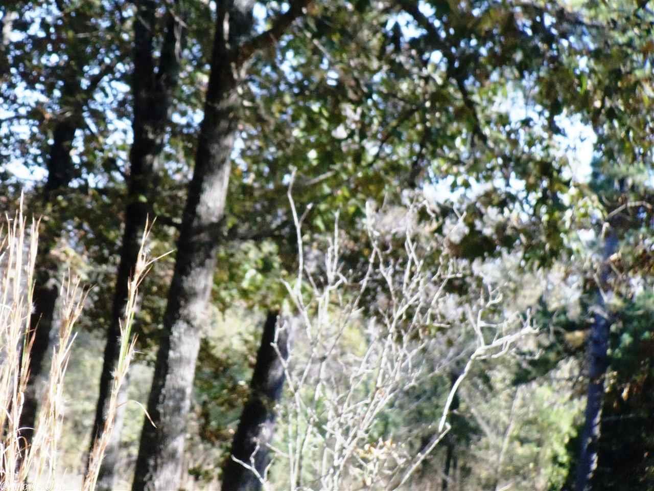 10225 Hwy 62, Ash Flat, AR 72513 photo 16
