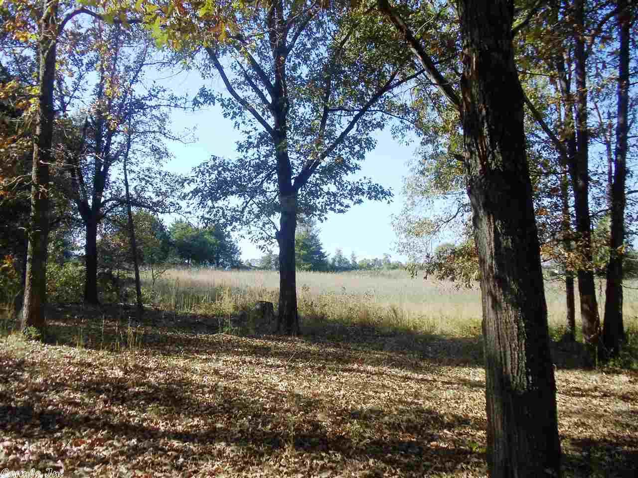 10225 Hwy 62, Ash Flat, AR 72513 photo 1