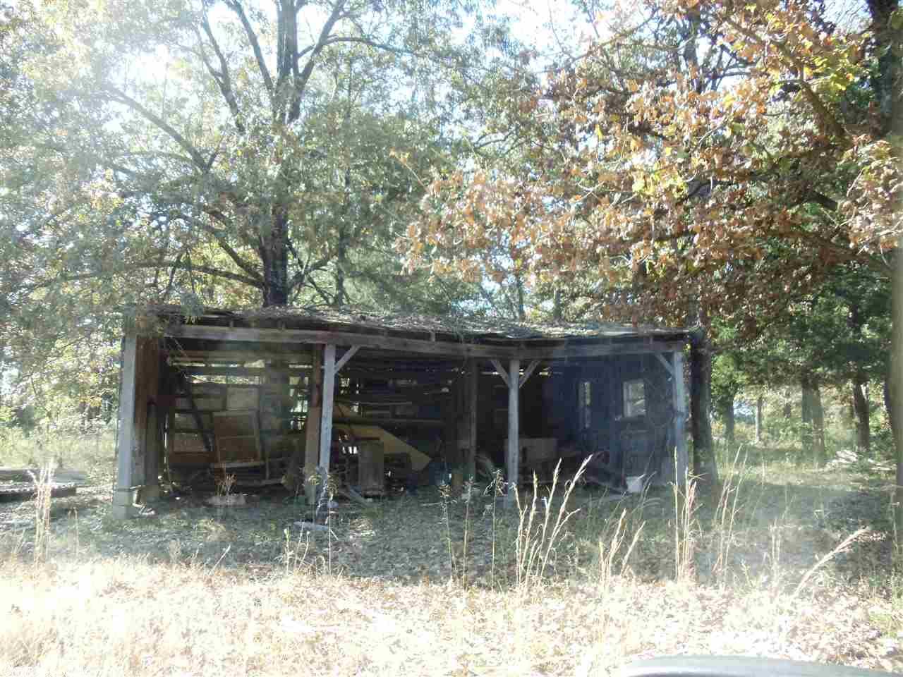10225 Hwy 62, Ash Flat, AR 72513 photo 3