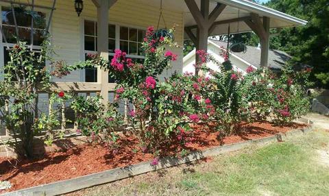 12900 County Line Rd, Alexander, AR 72002 photo 4