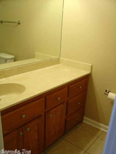 106 Willow Point Dr, Benton, AR 72015 photo 23