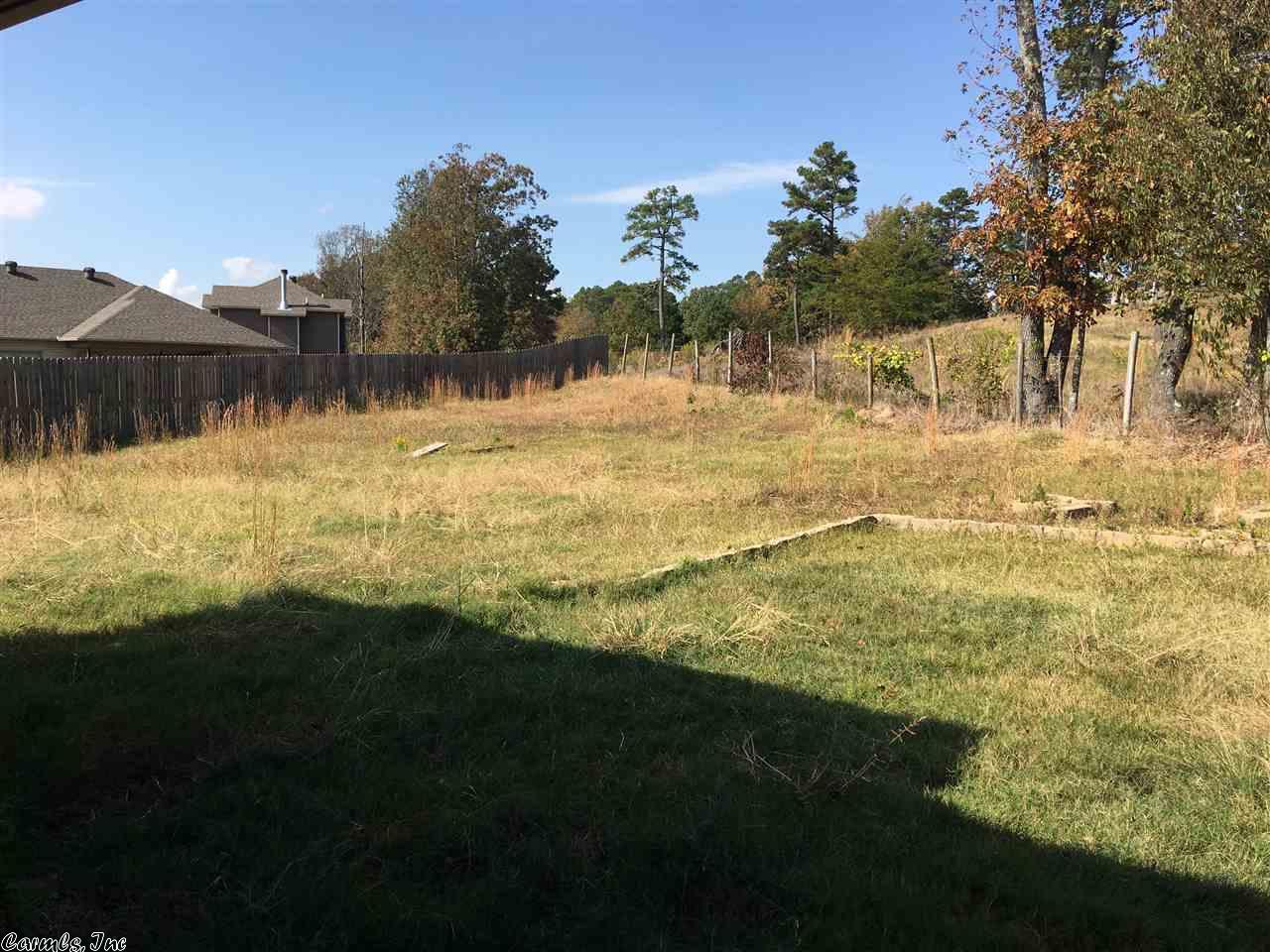 3032 Daffodil Cv, Benton, AR 72019 photo 23