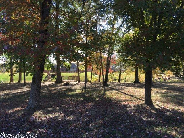 78 Lakeland Dr, Cabot, AR 72023 photo 4