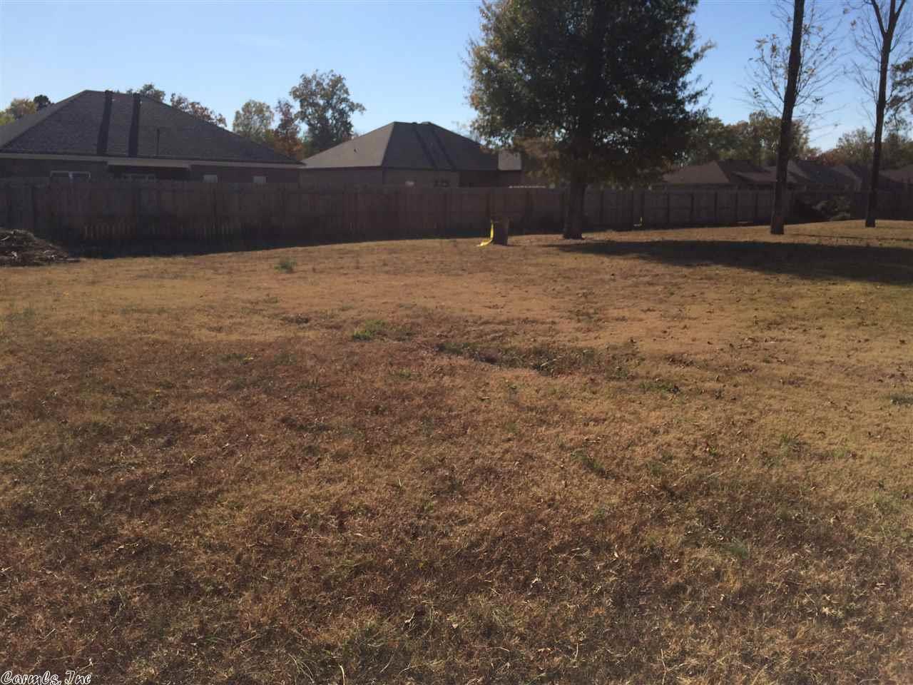 12 Bishop Ln, Conway, AR 72032 photo 13