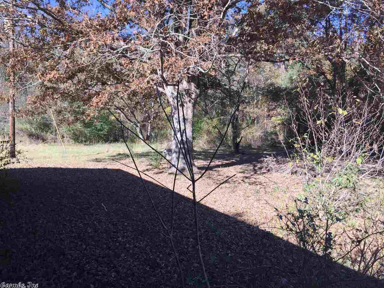 14310 Little Ln, Bauxite, AR 72011 photo 29