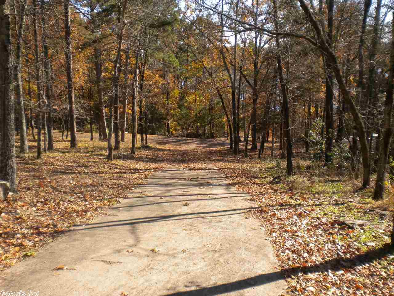 174 Stanfield Rd, Edgemont, AR 72044 photo 26