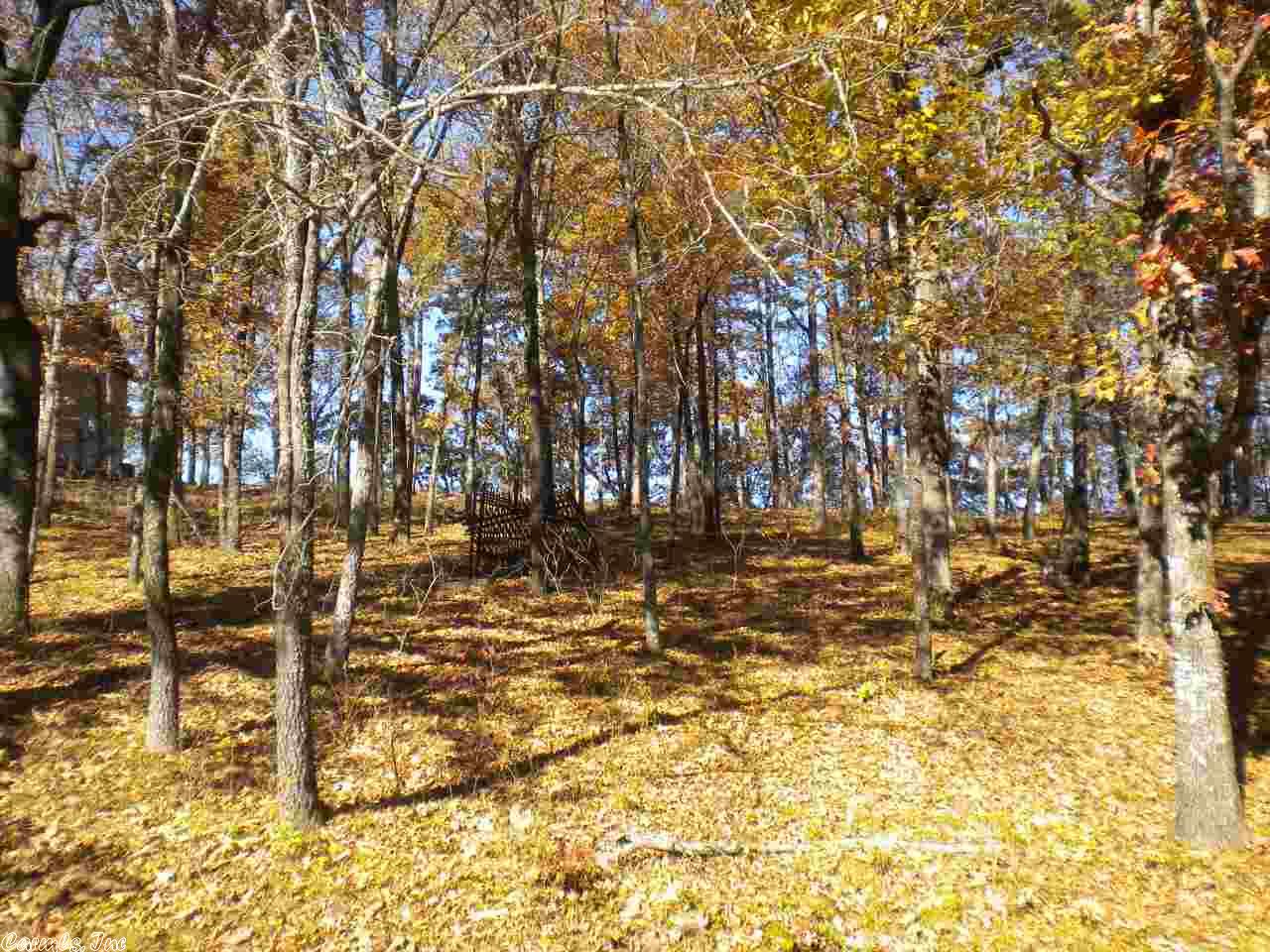 174 Stanfield Rd, Edgemont, AR 72044 photo 28