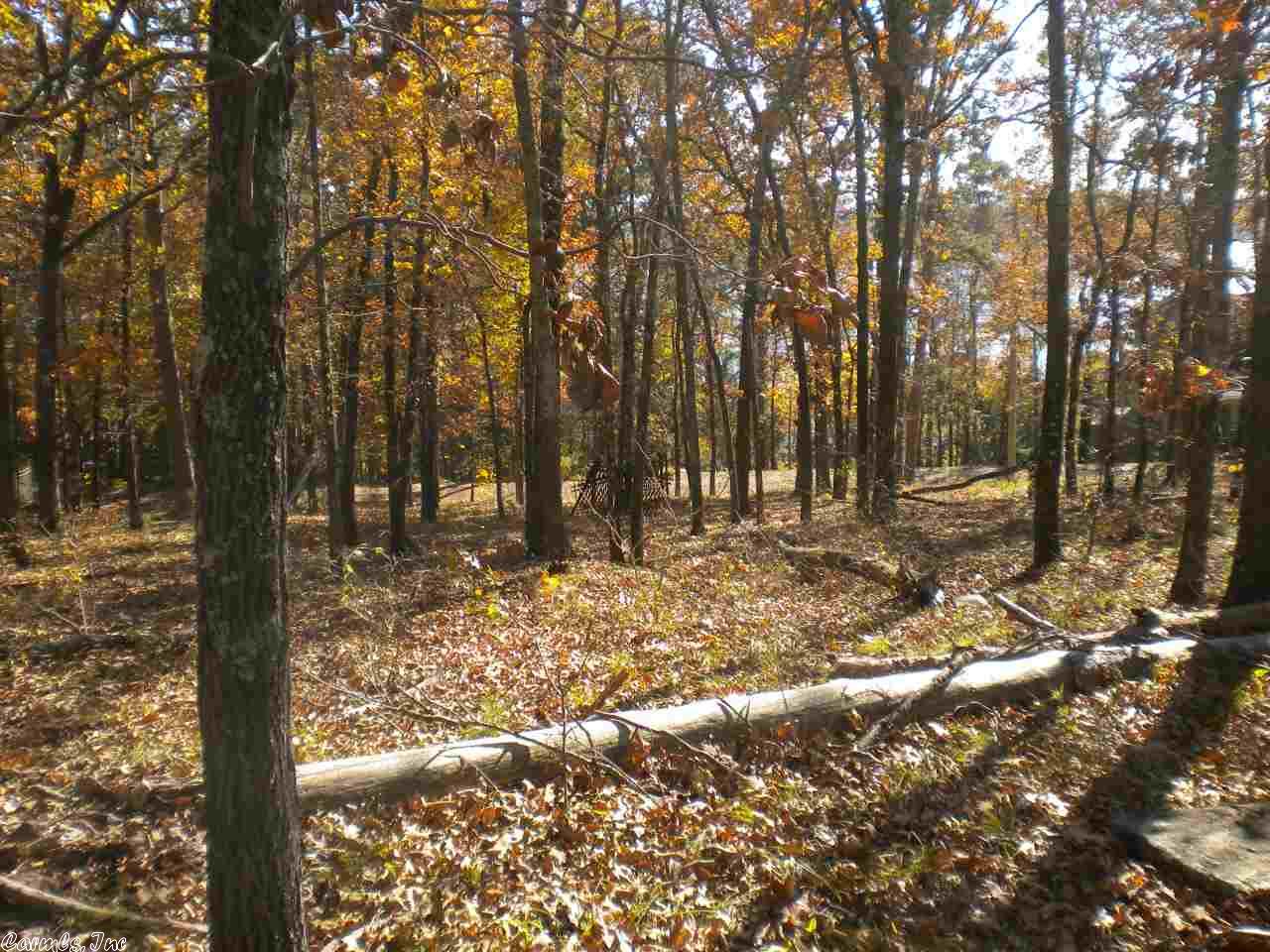174 Stanfield Rd, Edgemont, AR 72044 photo 23