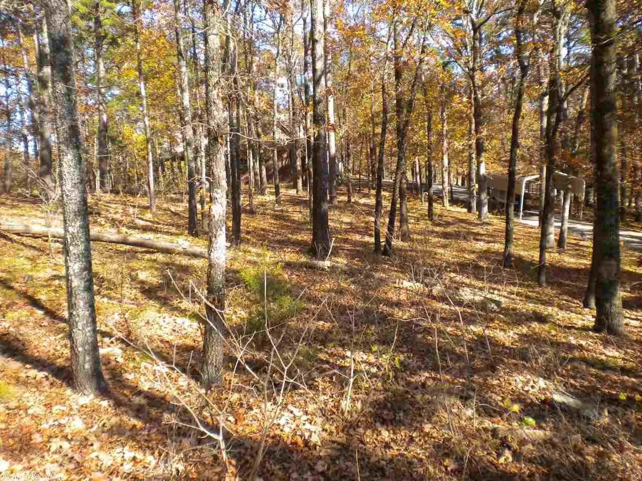 174 Stanfield Rd, Edgemont, AR 72044 photo 21