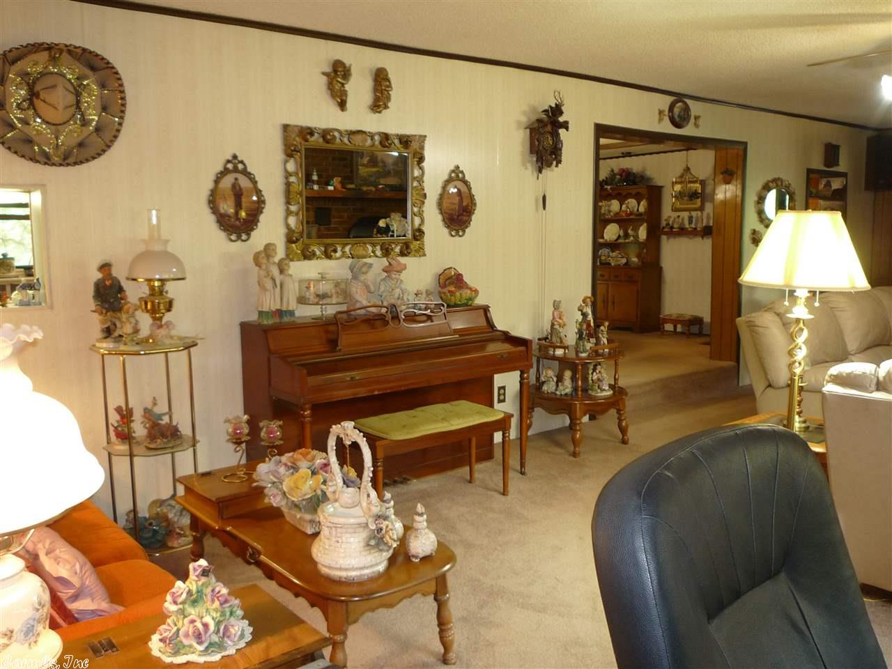 32 Southfork Rd, Mount Ida, AR 71957 photo 11