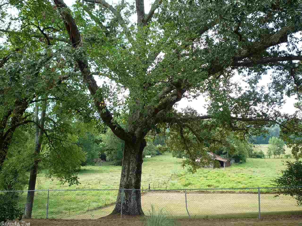 32 Southfork Rd, Mount Ida, AR 71957 photo 22