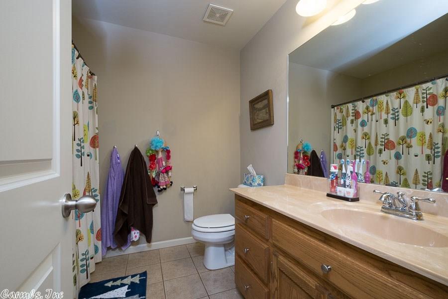3110 Brooke Ln, Benton, AR 72015 photo 9