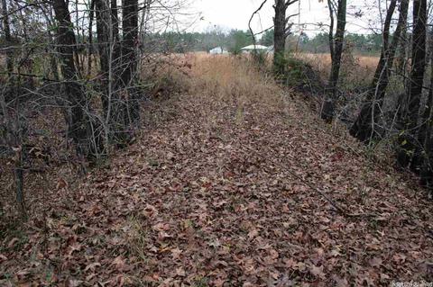 676 Daffodil Rd, Romance, AR 72136 photo 34