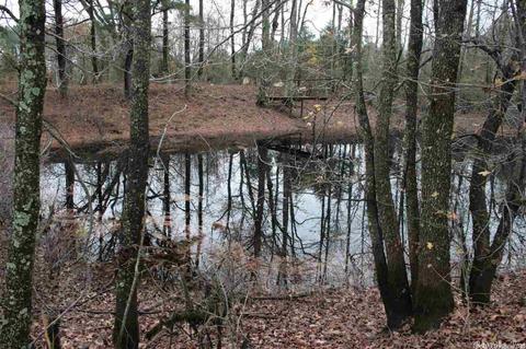 676 Daffodil Rd, Romance, AR 72136 photo 33