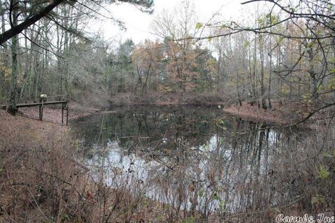 676 Daffodil Rd, Romance, AR 72136 photo 38