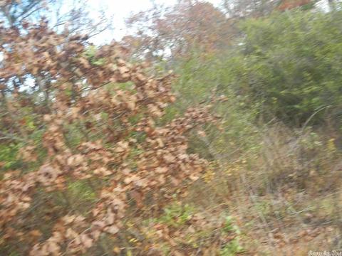 lot4 Bream Nest Rd, Conway, AR 72032 photo 6
