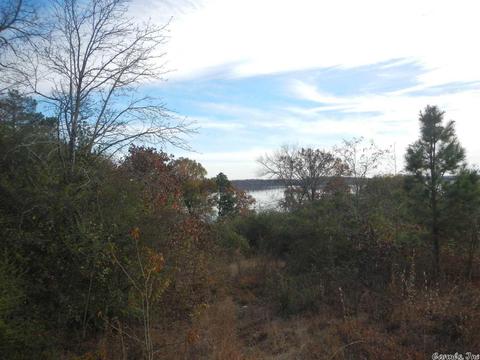 lot4 Bream Nest Rd, Conway, AR 72032 photo 2