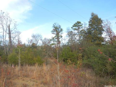 lot4 Bream Nest Rd, Conway, AR 72032 photo 4